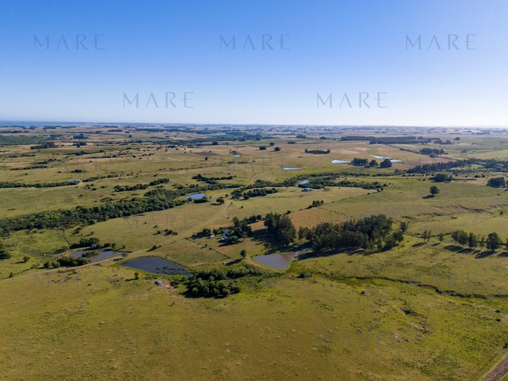 Campo de 177 Has con Frente sobre el Arroyo José Ignacio - Foto 43