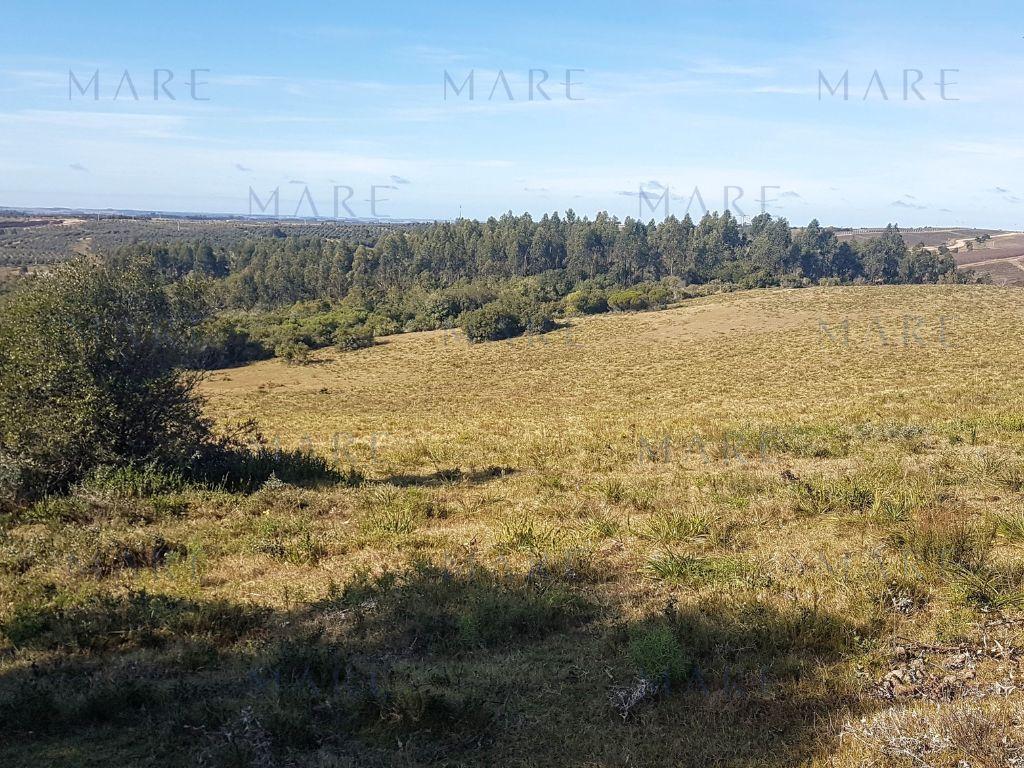 24 Hectáreas con Vistas a las Sierras en José Ignacio - Foto 3