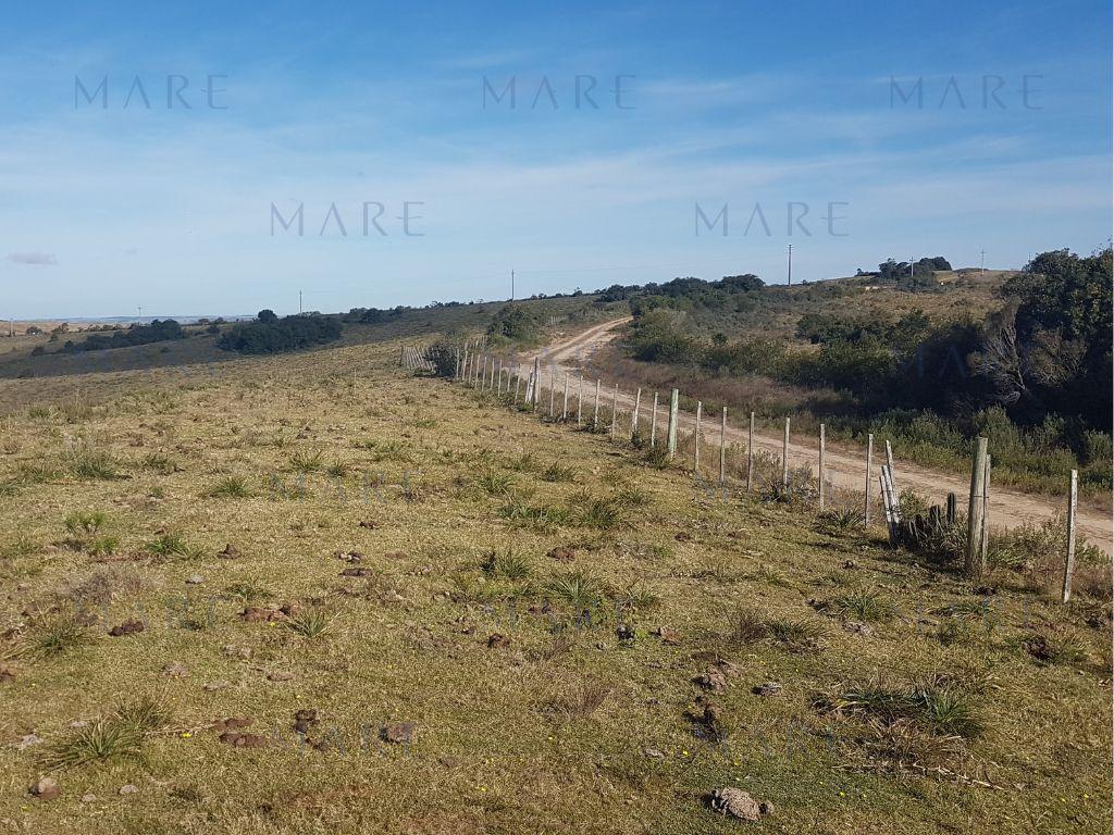 24 Hectáreas con Vistas a las Sierras en José Ignacio - Foto 6