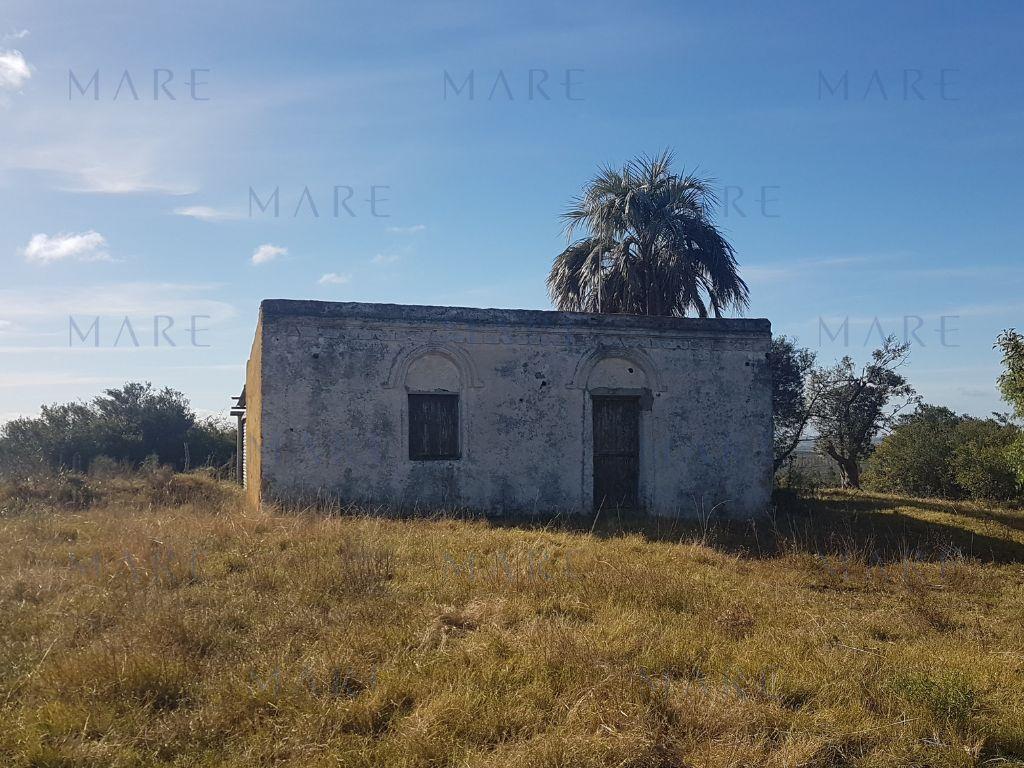 24 Hectáreas con Vistas a las Sierras en José Ignacio - Foto 9