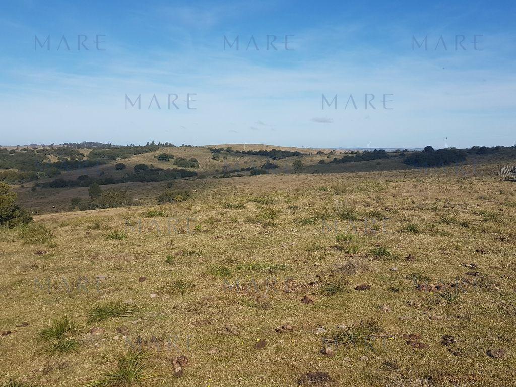 24 Hectáreas con Vistas a las Sierras en José Ignacio