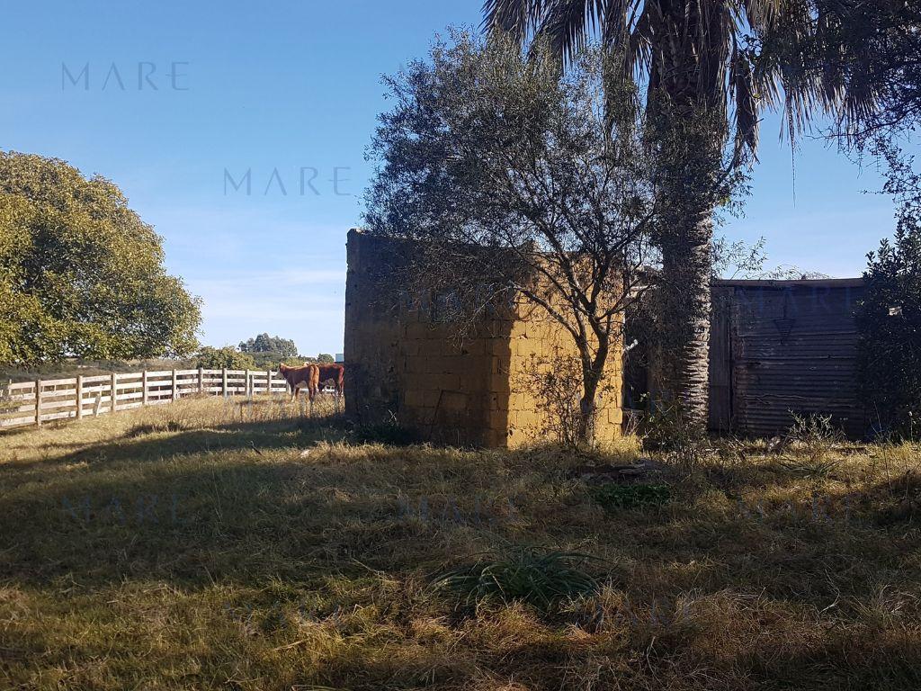 24 Hectáreas con Vistas a las Sierras en José Ignacio - Foto 8
