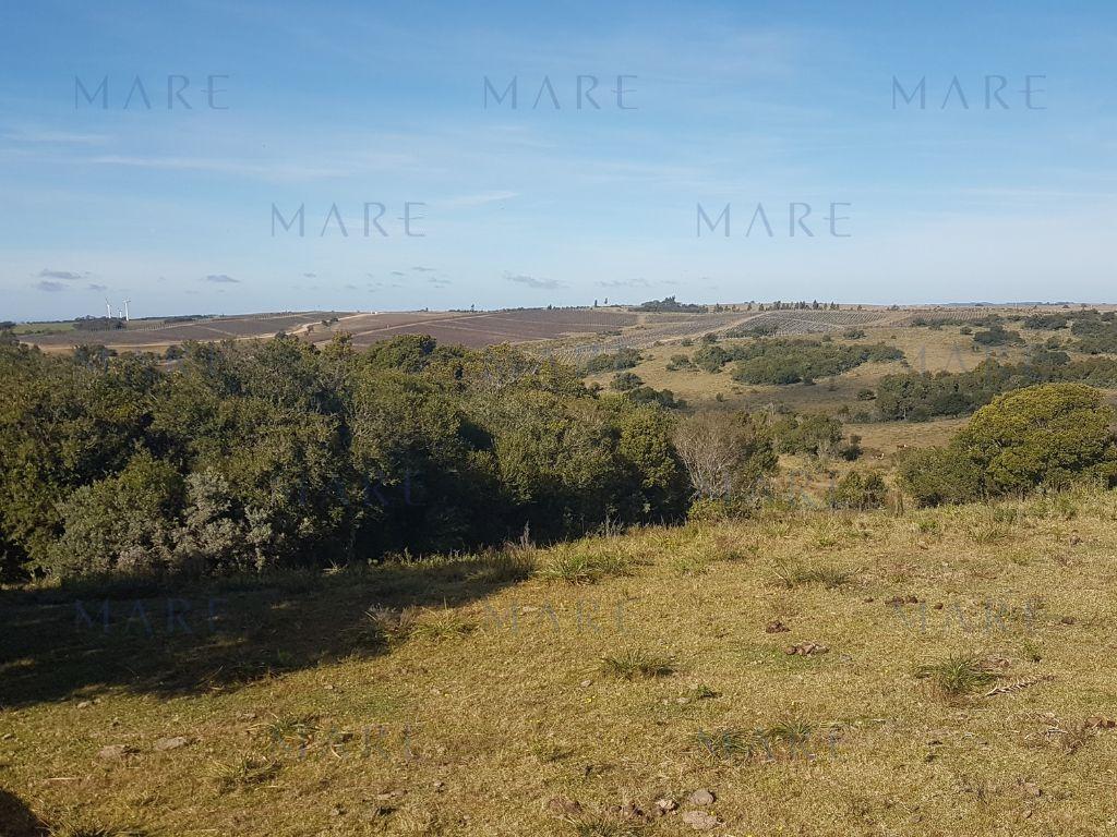 24 Hectáreas con Vistas a las Sierras en José Ignacio - Foto 2