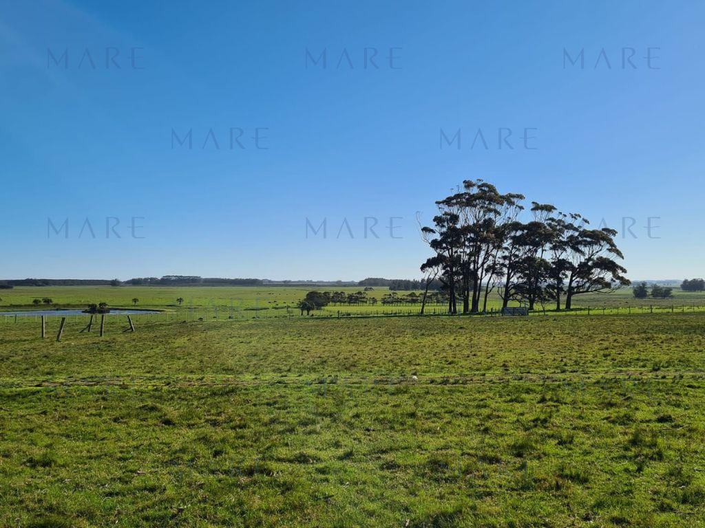 Field in Rocha very close to the ocean - Photo 2