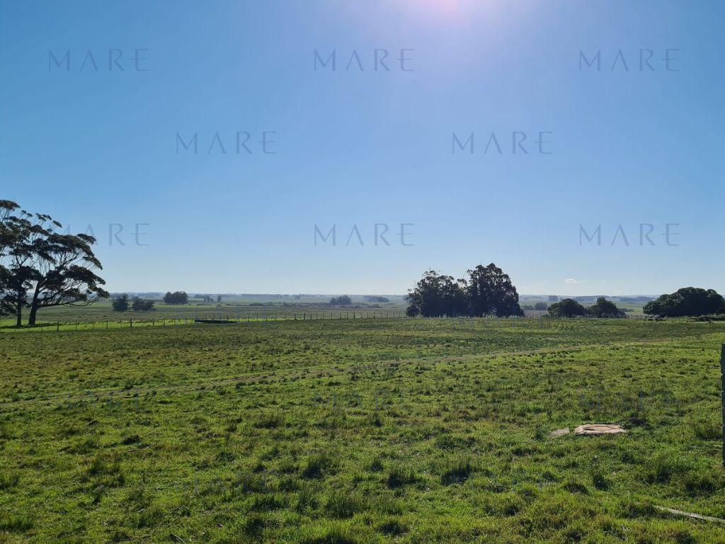 Field in Rocha very close to the ocean - Photo 9