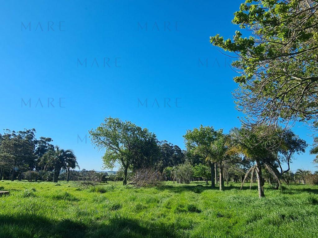 Field in Rocha very close to the ocean - Photo 7