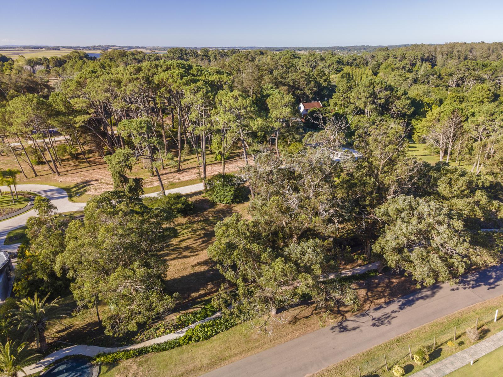 1,000 m² plot of land in Aura – Forest Sector