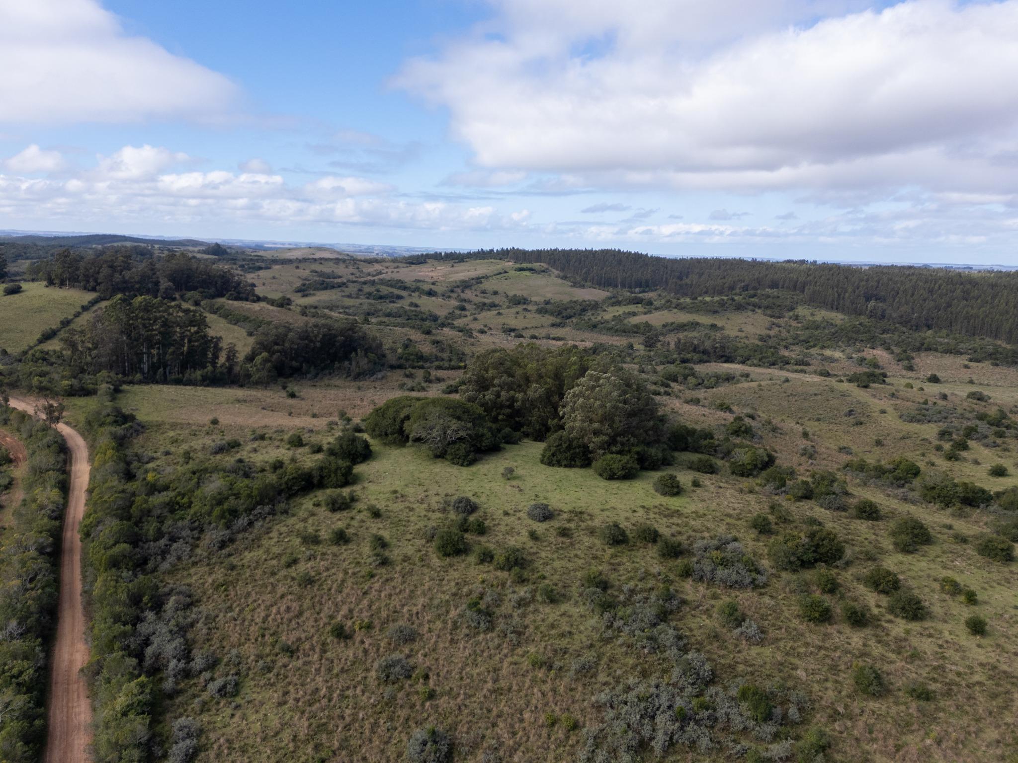 El Retiro: 115 hectares of serenity and horizon near Garzón - Photo 18