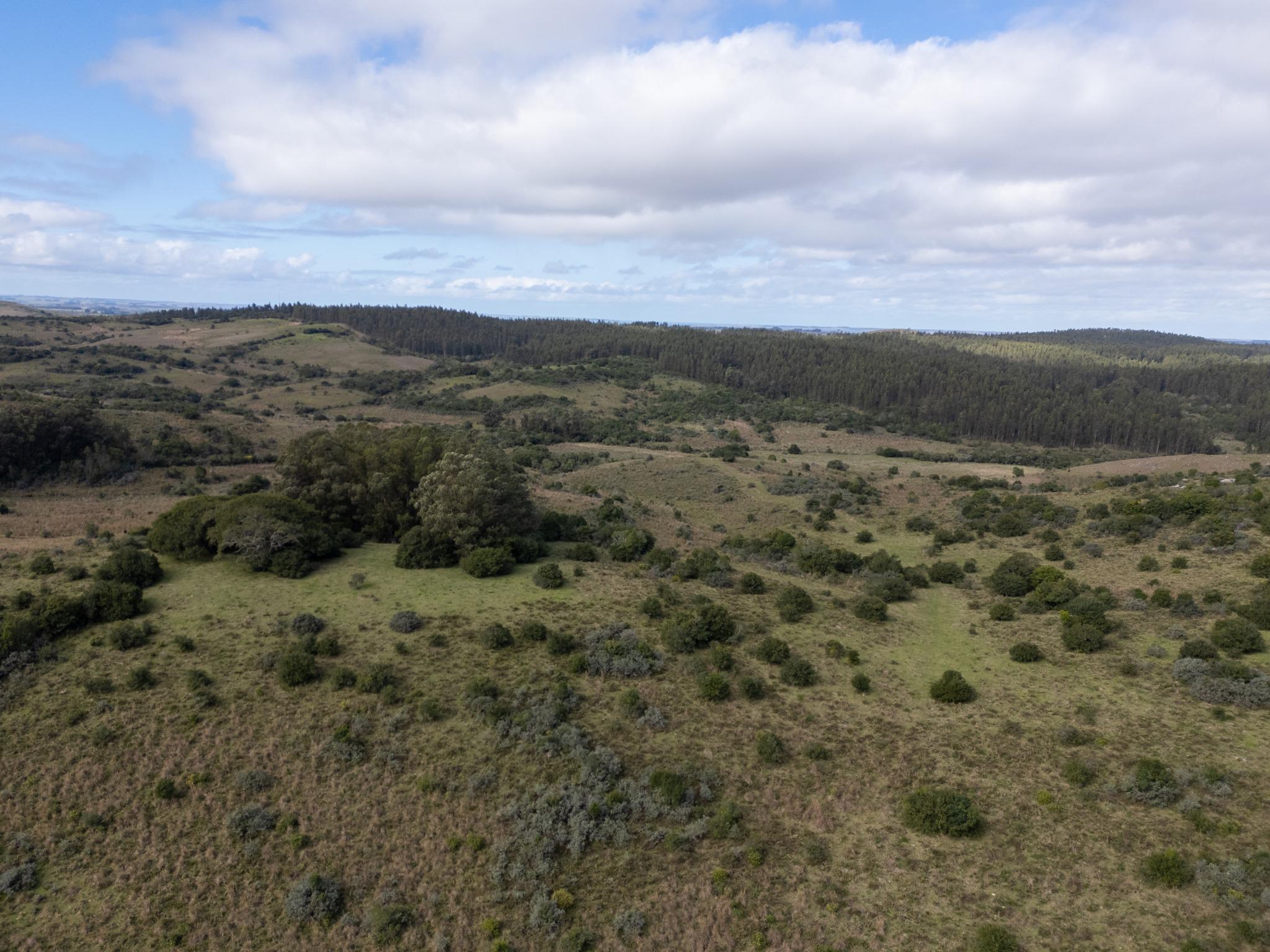 El Retiro: 115 hectares of serenity and horizon near Garzón - Photo 24