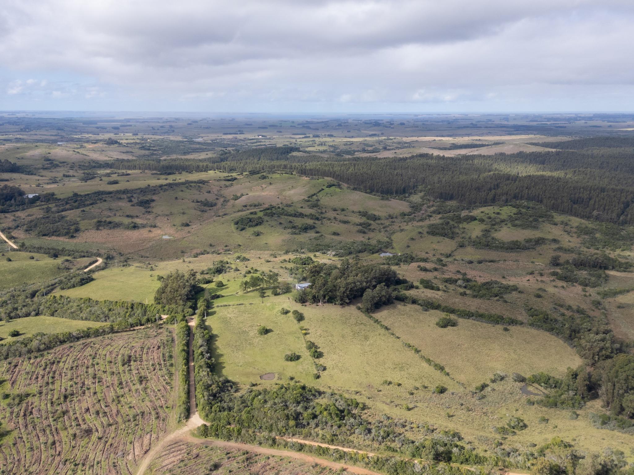 El Retiro: 115 hectares of serenity and horizon near Garzón - Photo 21