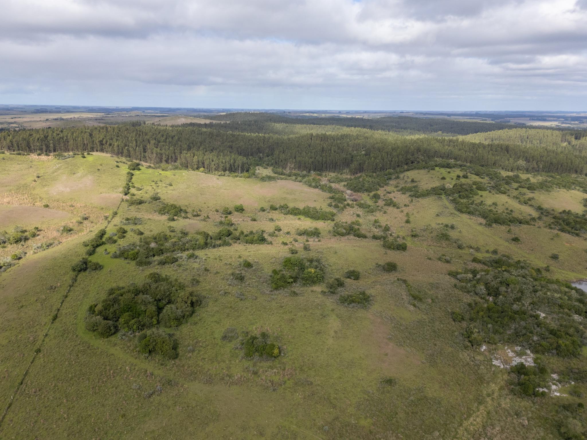 El Retiro: 115 hectares of serenity and horizon near Garzón - Photo 16
