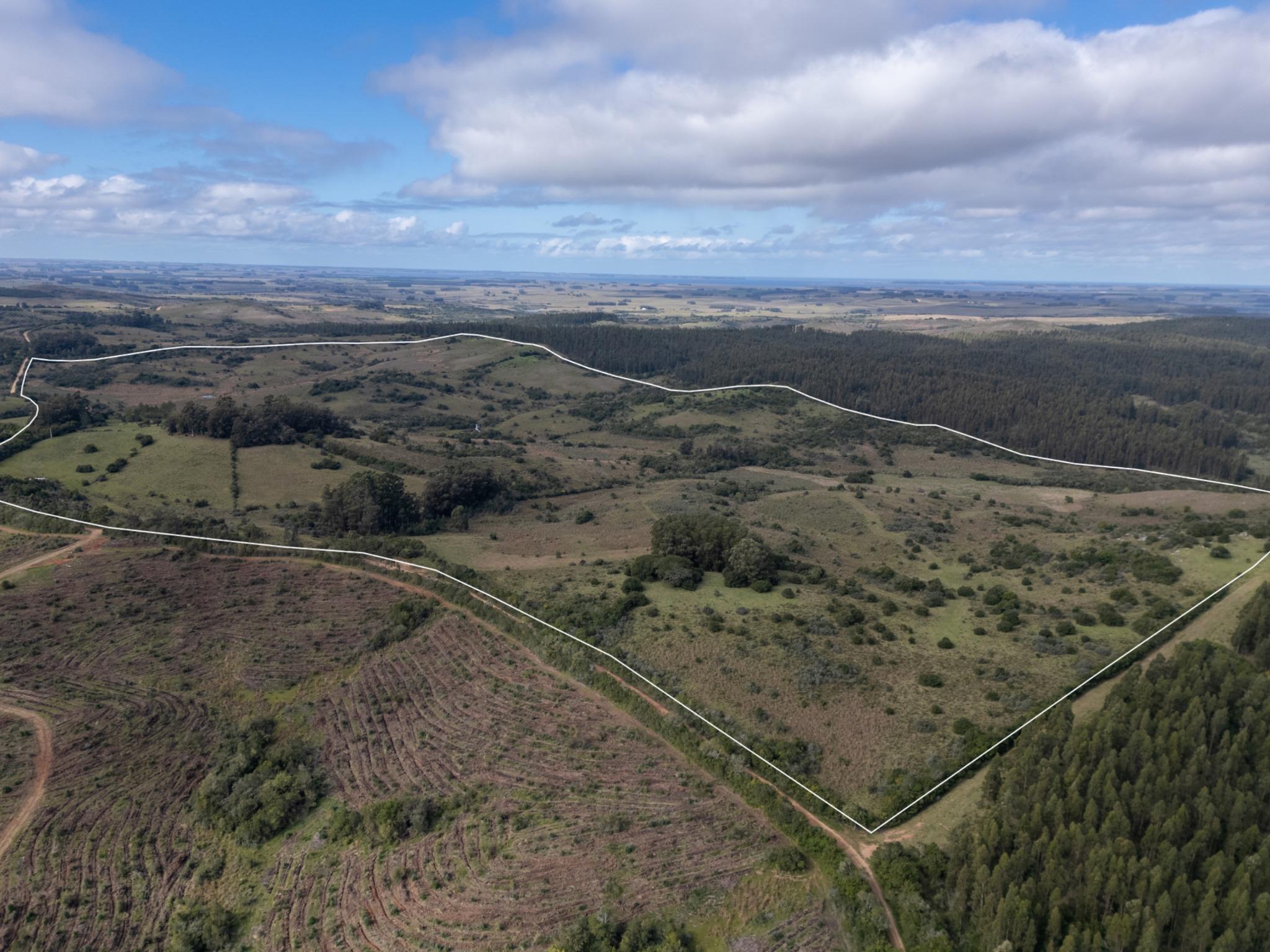 El Retiro: 115 hectares of serenity and horizon near Garzón - Photo 2