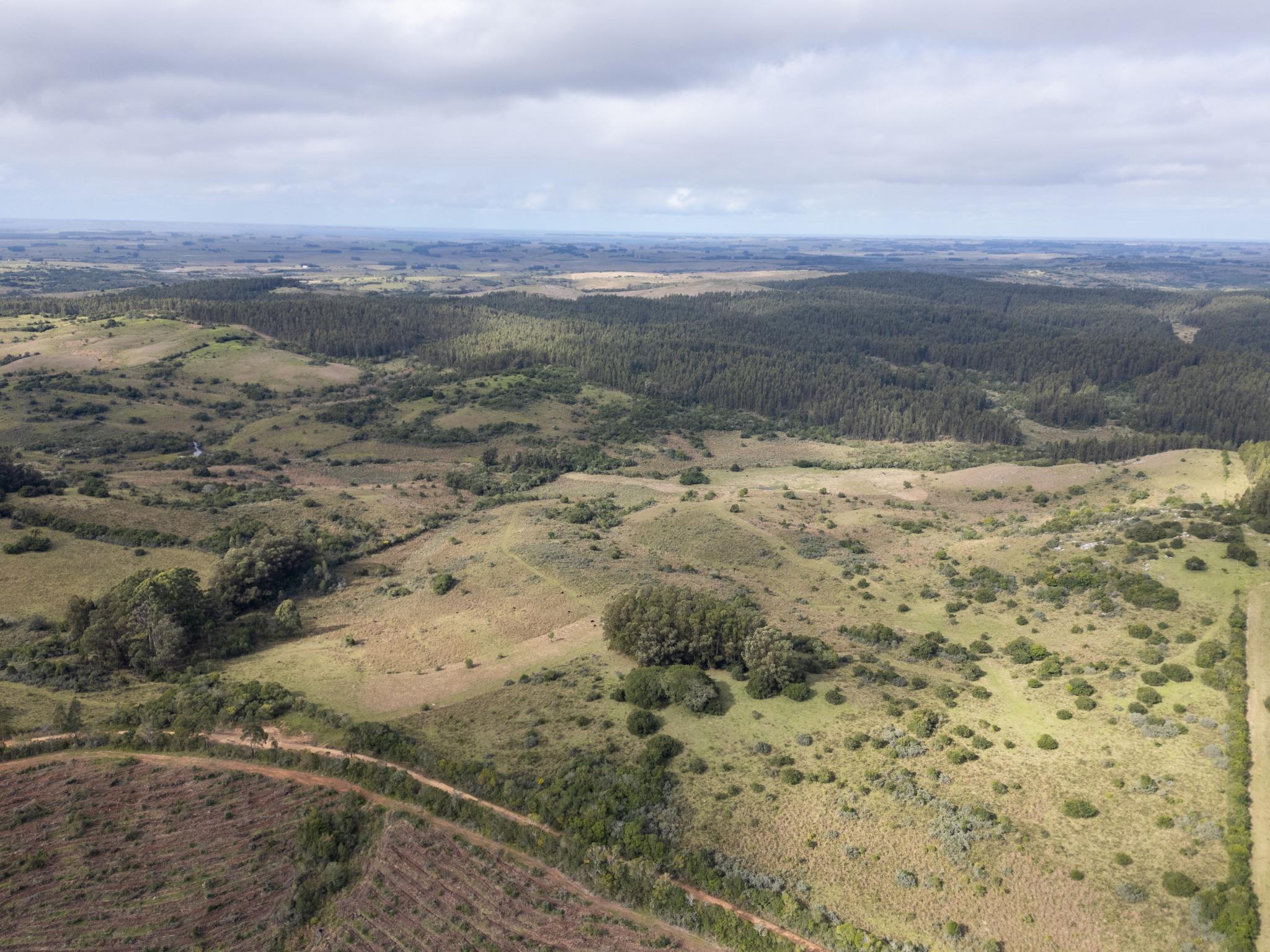 El Retiro: 115 hectares of serenity and horizon near Garzón - Photo 22