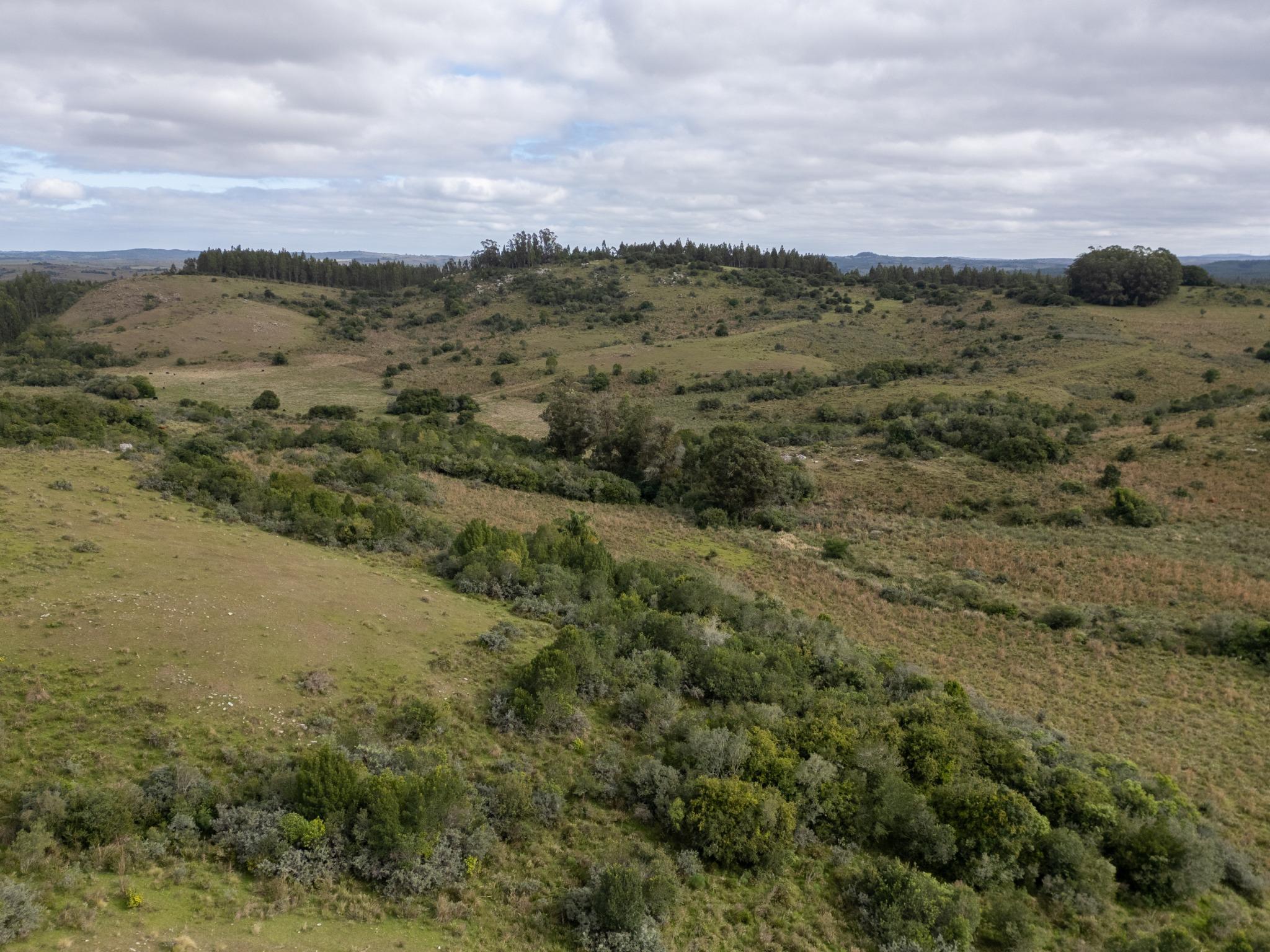 El Retiro: 115 hectares of serenity and horizon near Garzón - Photo 23