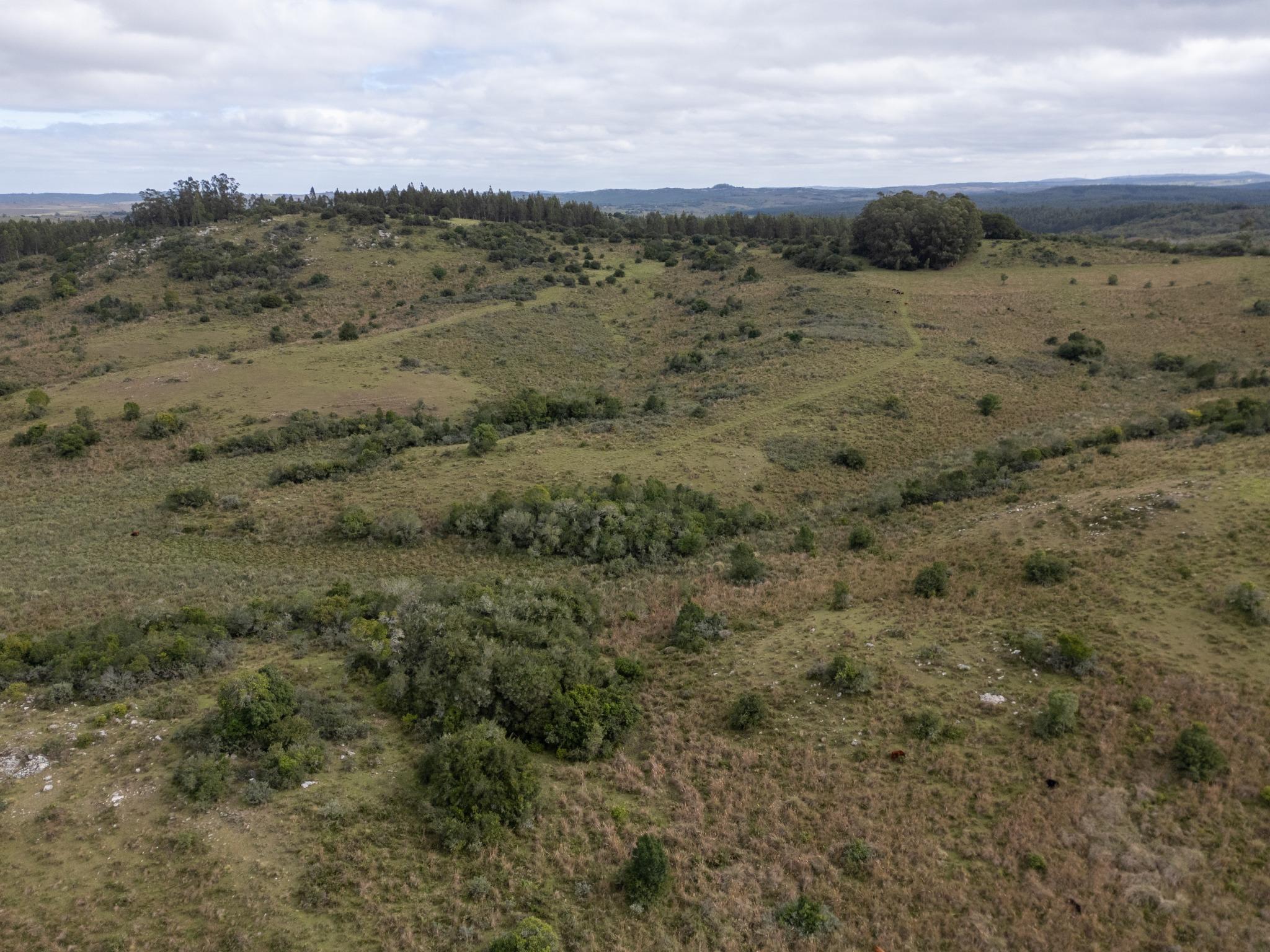 El Retiro: 115 hectares of serenity and horizon near Garzón - Photo 25