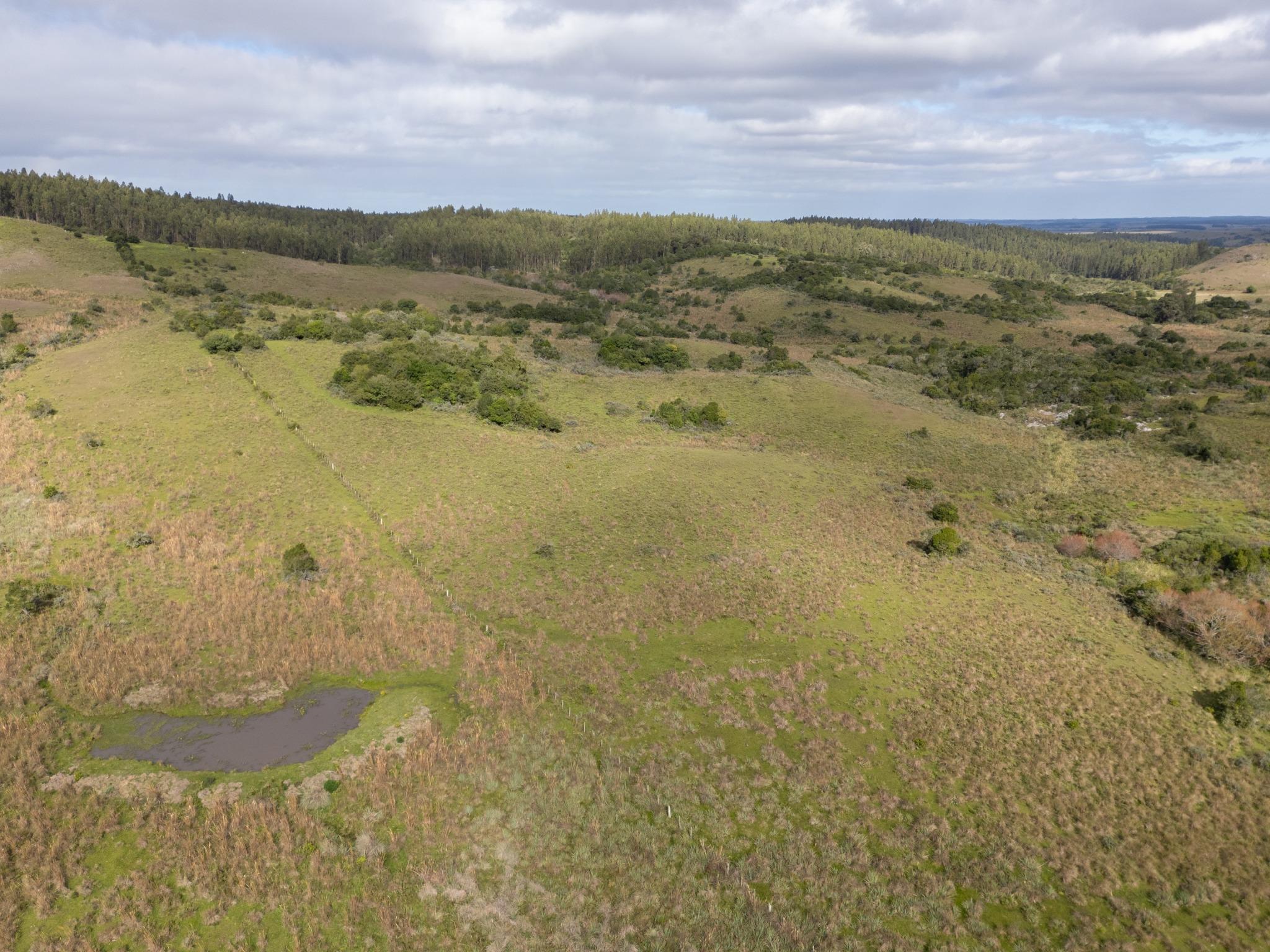 El Retiro: 115 hectares of serenity and horizon near Garzón - Photo 19