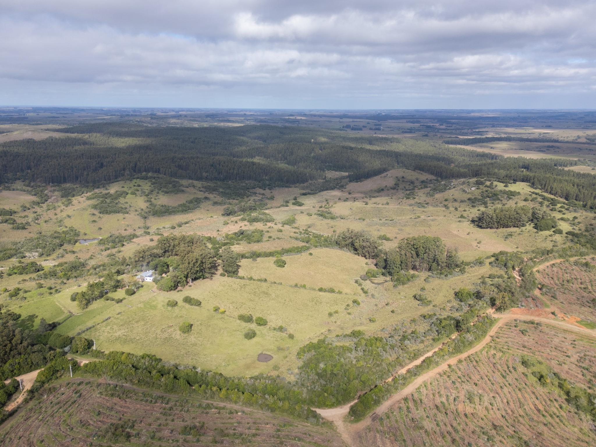 El Retiro: 115 hectares of serenity and horizon near Garzón - Photo 20