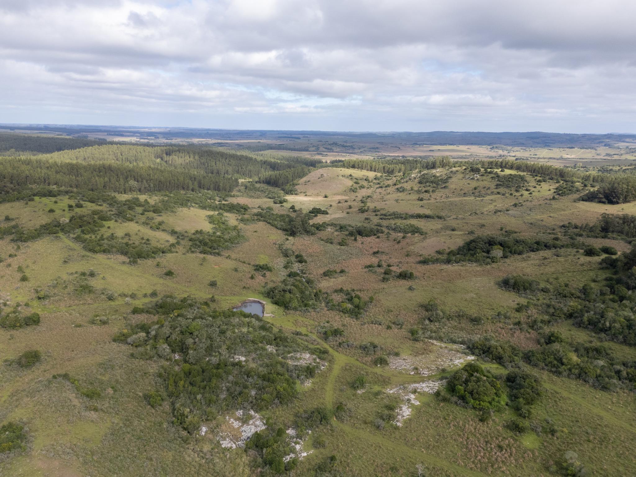 El Retiro: 115 hectares of serenity and horizon near Garzón - Photo 17