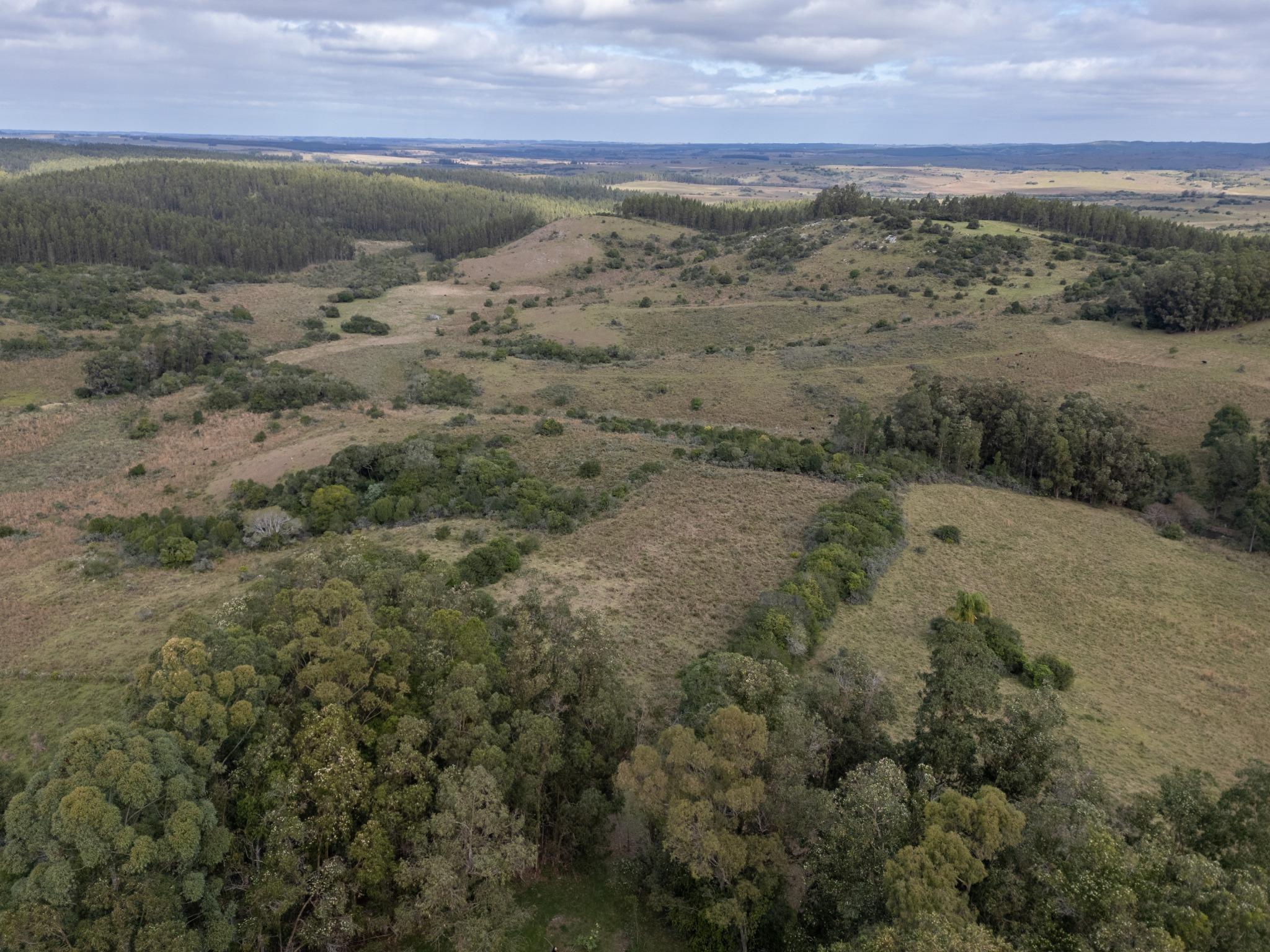 El Retiro: 115 hectares of serenity and horizon near Garzón - Photo 14