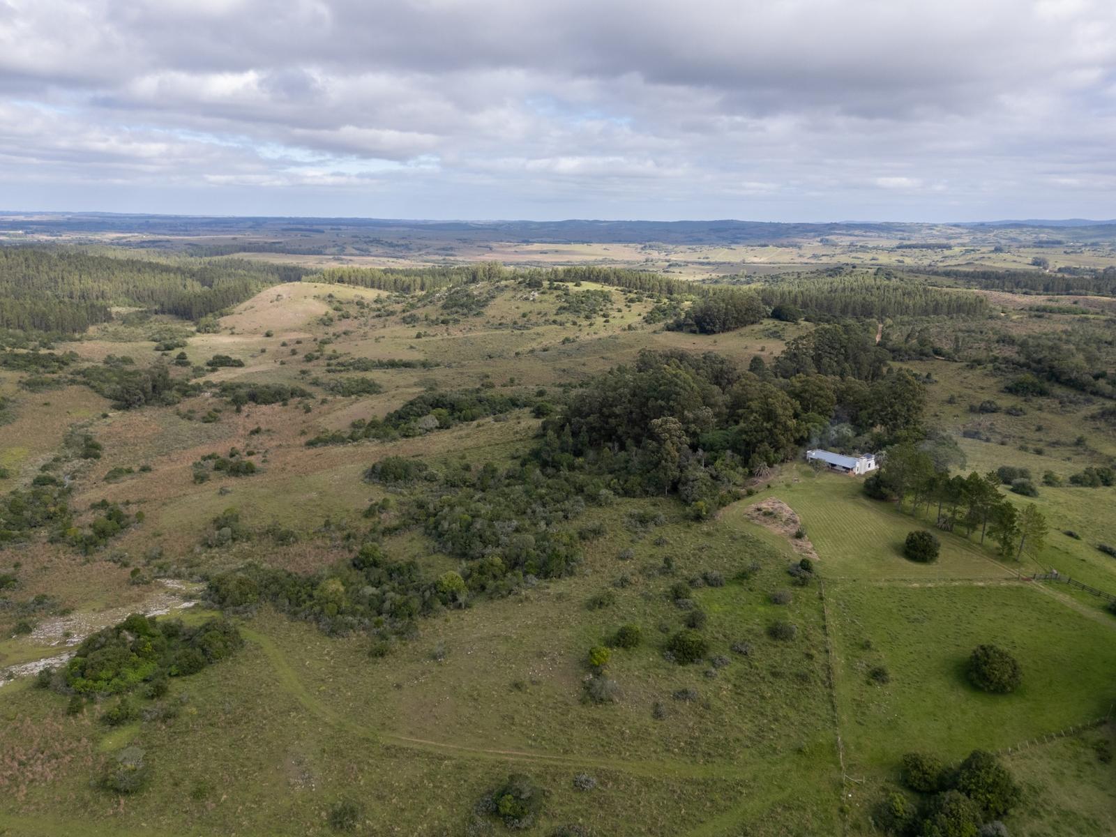 El Retiro: 115 hectares of serenity and horizon near Garzón