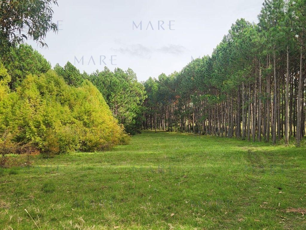 3.3 hectares in the Whale Quarry - Photo 3