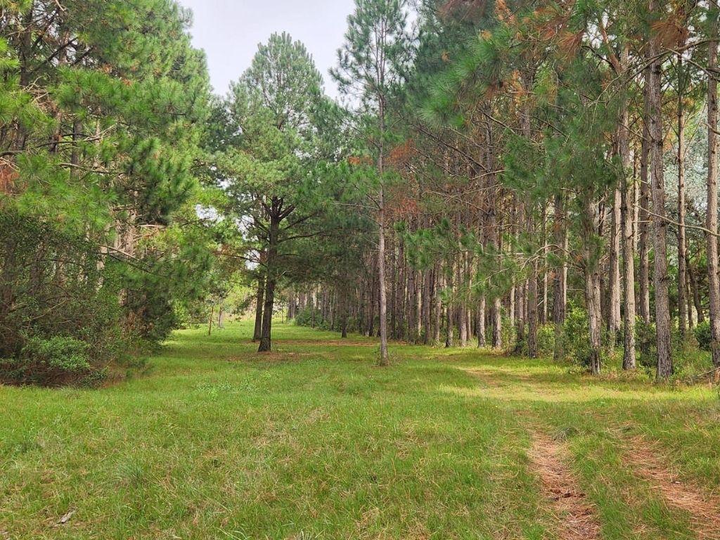 20.7 hectares with slope and lake