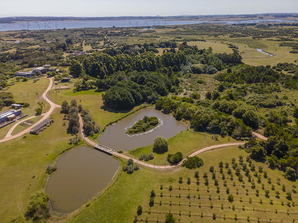 La esencia rural de José Ignacio: 3 hectáreas con laguna propia. - Foto 5