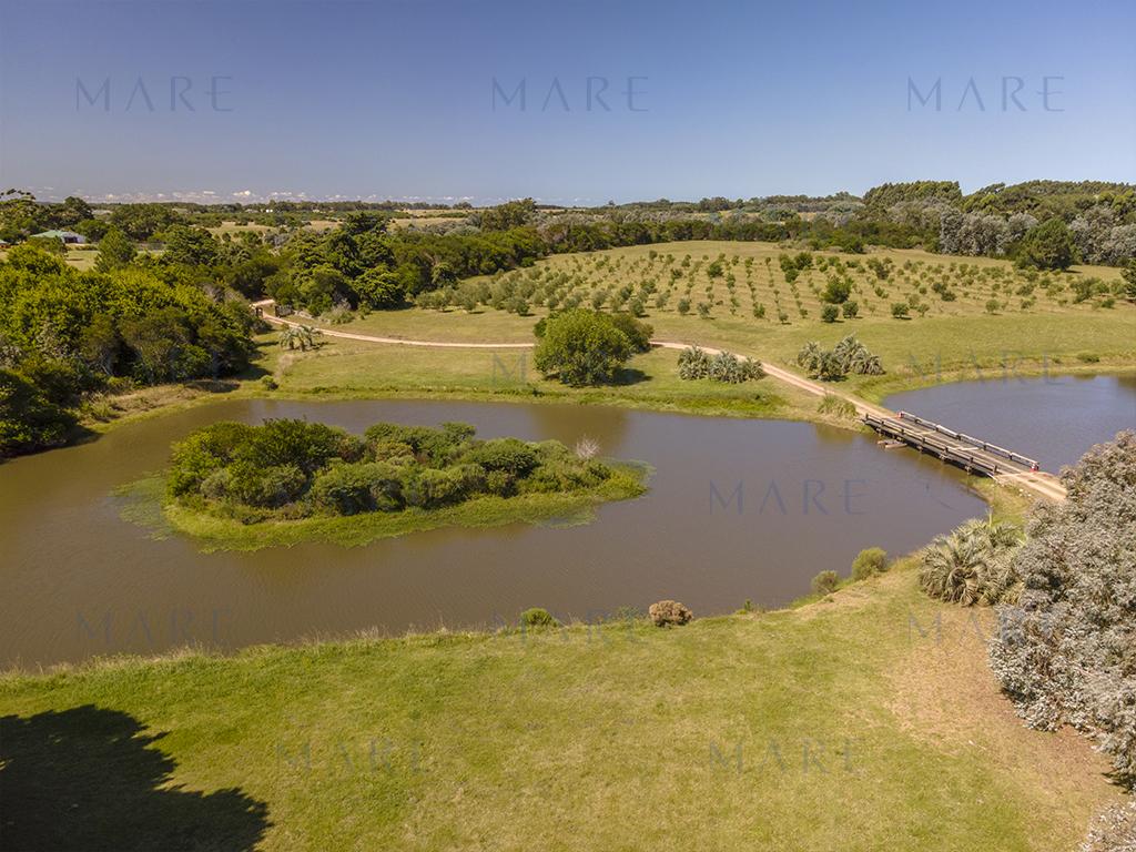 La esencia rural de José Ignacio: 3 hectáreas con laguna propia. - Foto 4