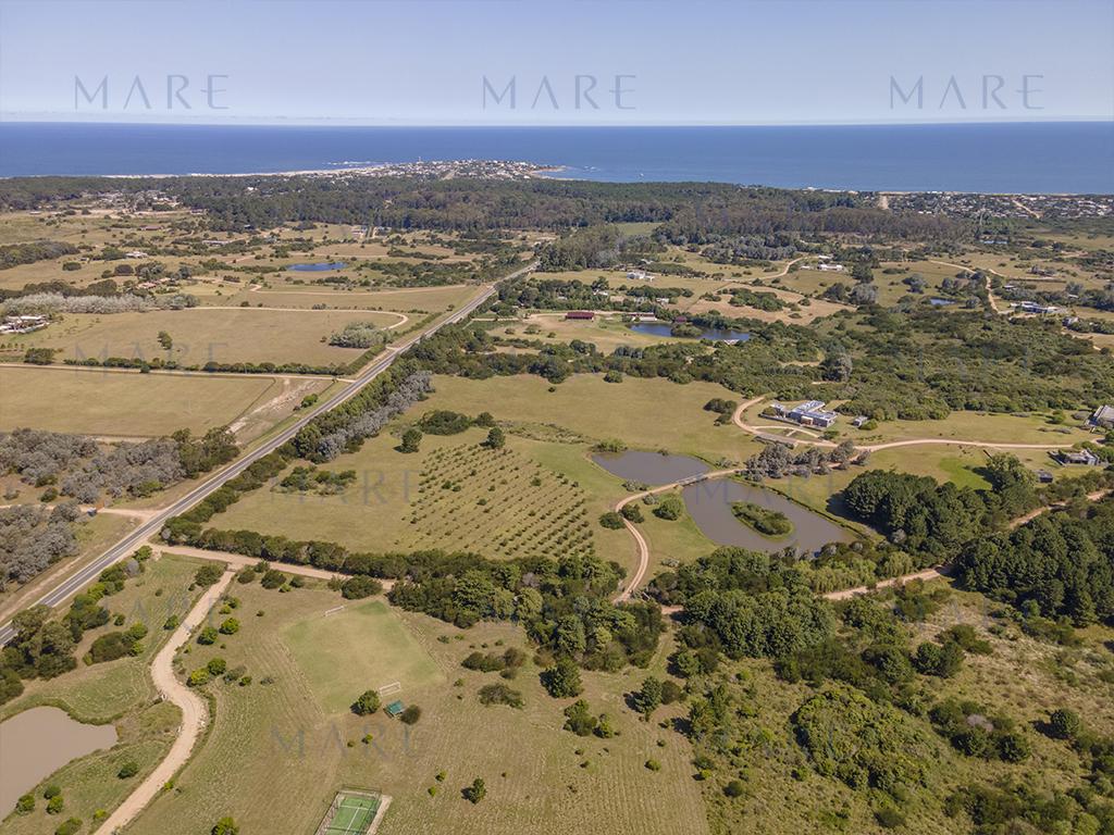 Laguna Propia y Olivos en José Ignacio - Foto 10
