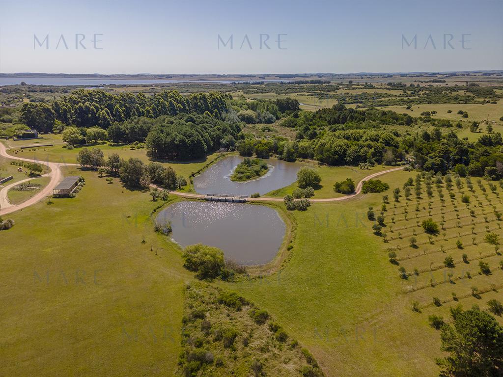 Laguna Propia y Olivos en José Ignacio - Foto 4