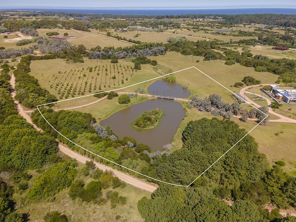 Laguna Propia y Olivos en José Ignacio - Foto 2