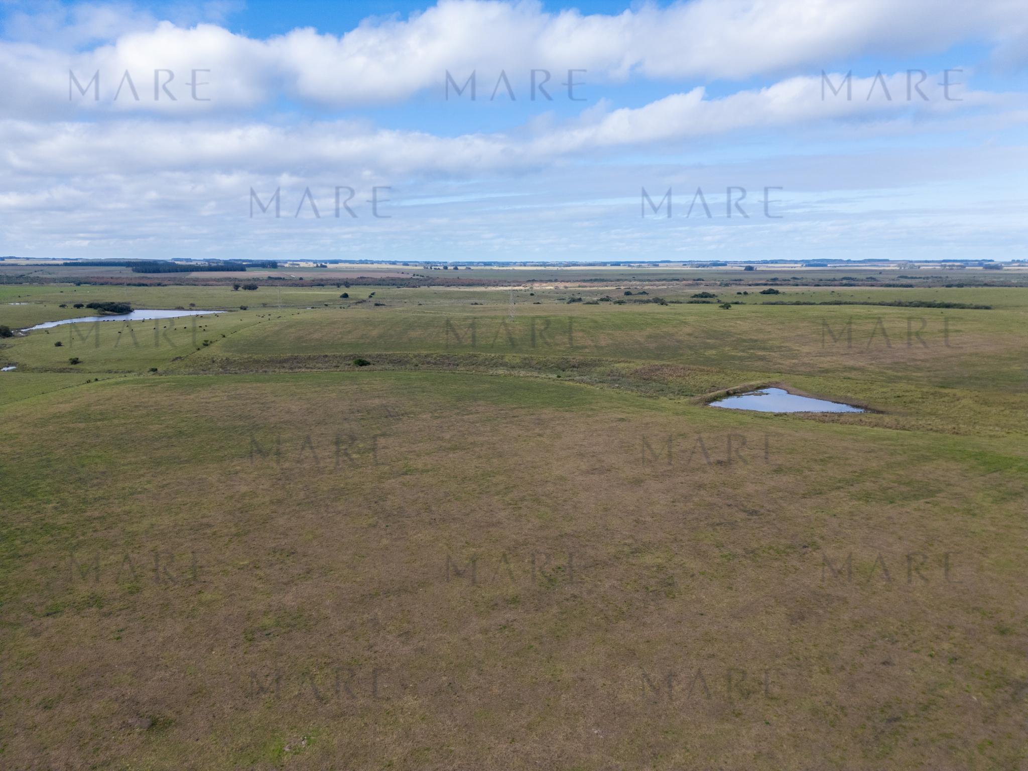 103 ha próximas a Laguna Garzón - Photo 9