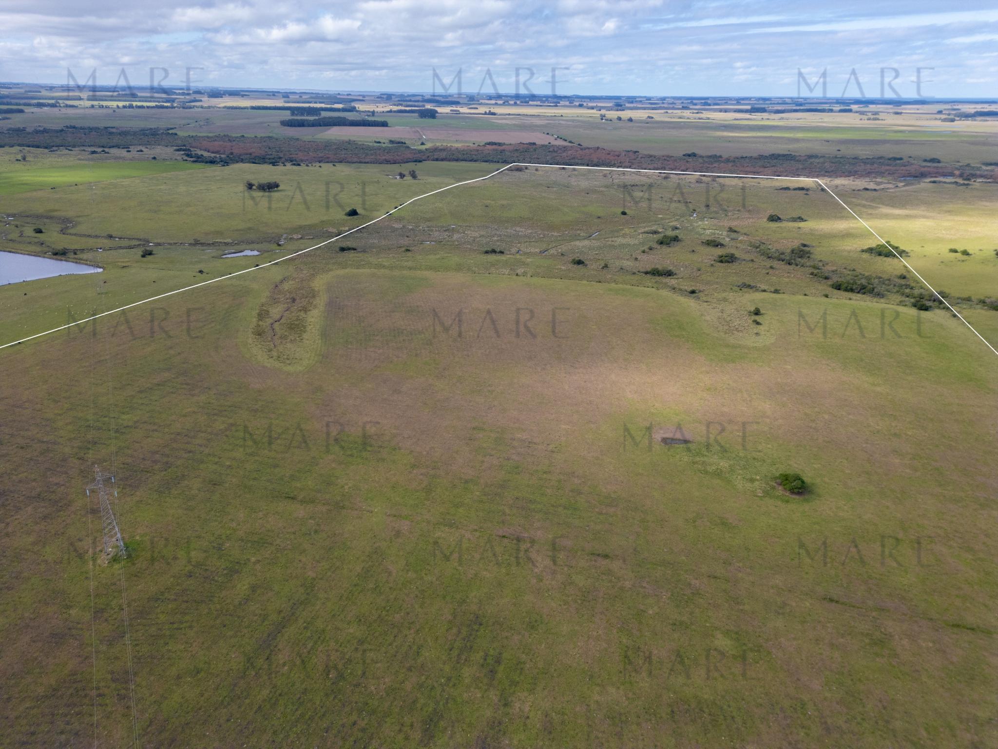 103 ha próximas a Laguna Garzón - Photo 10