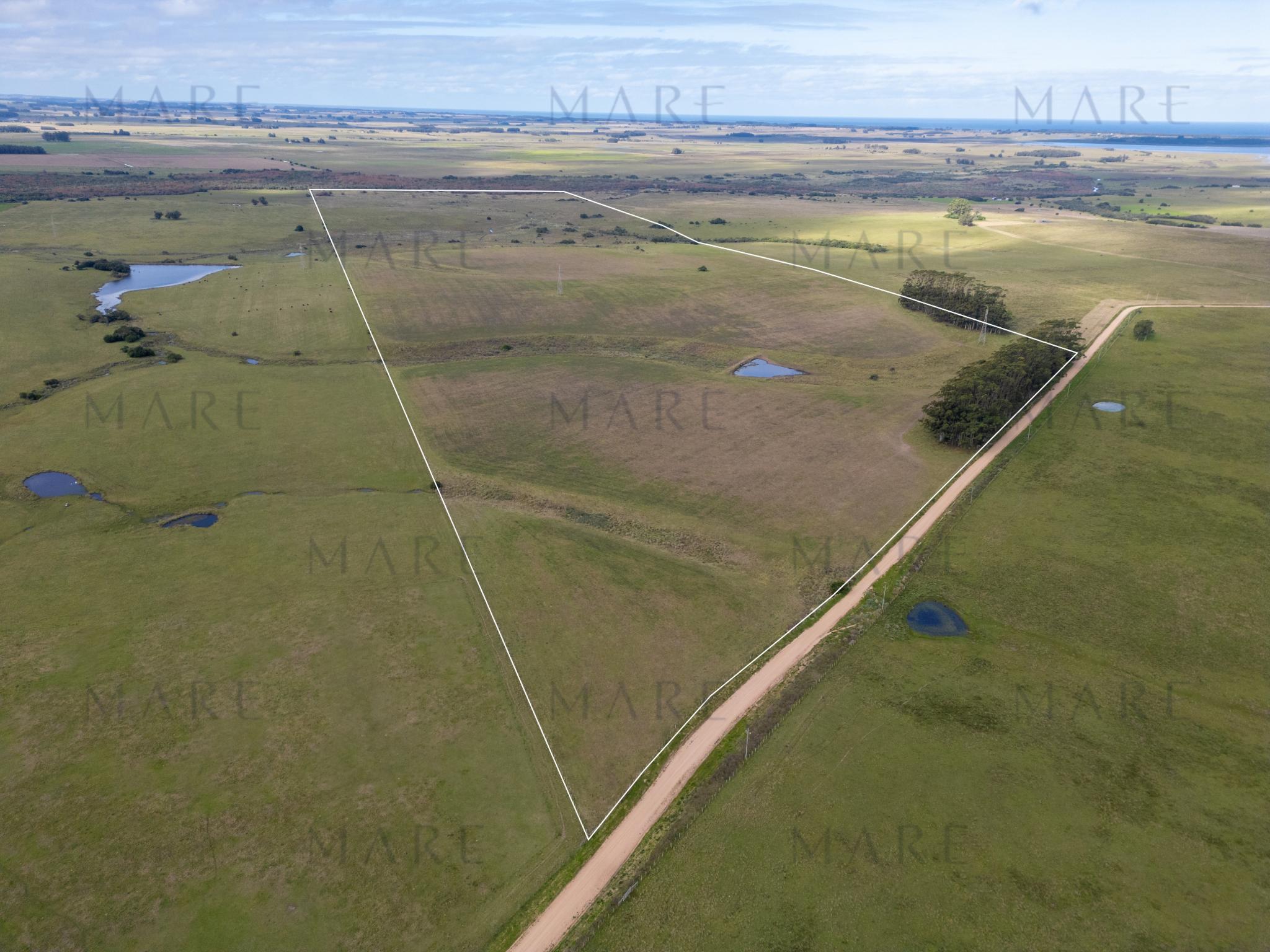 103 ha próximas a Laguna Garzón - Photo 2
