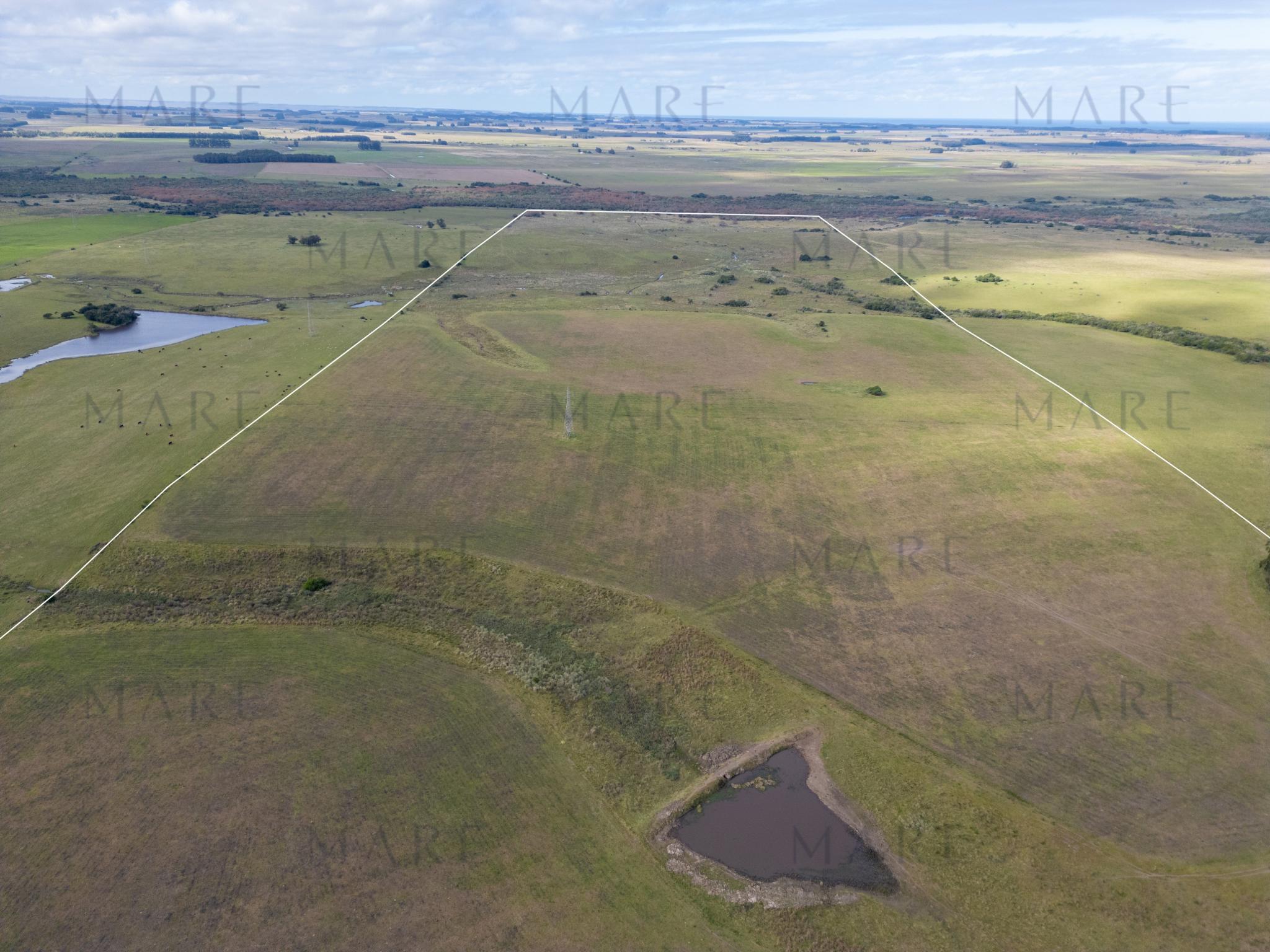 103 ha próximas a Laguna Garzón - Photo 4