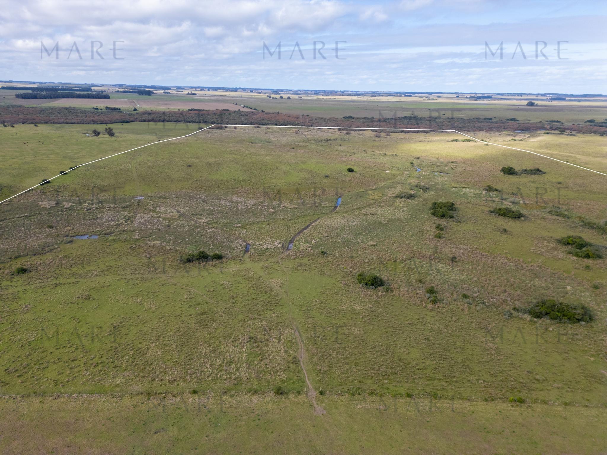 103 ha próximas a Laguna Garzón - Photo 13