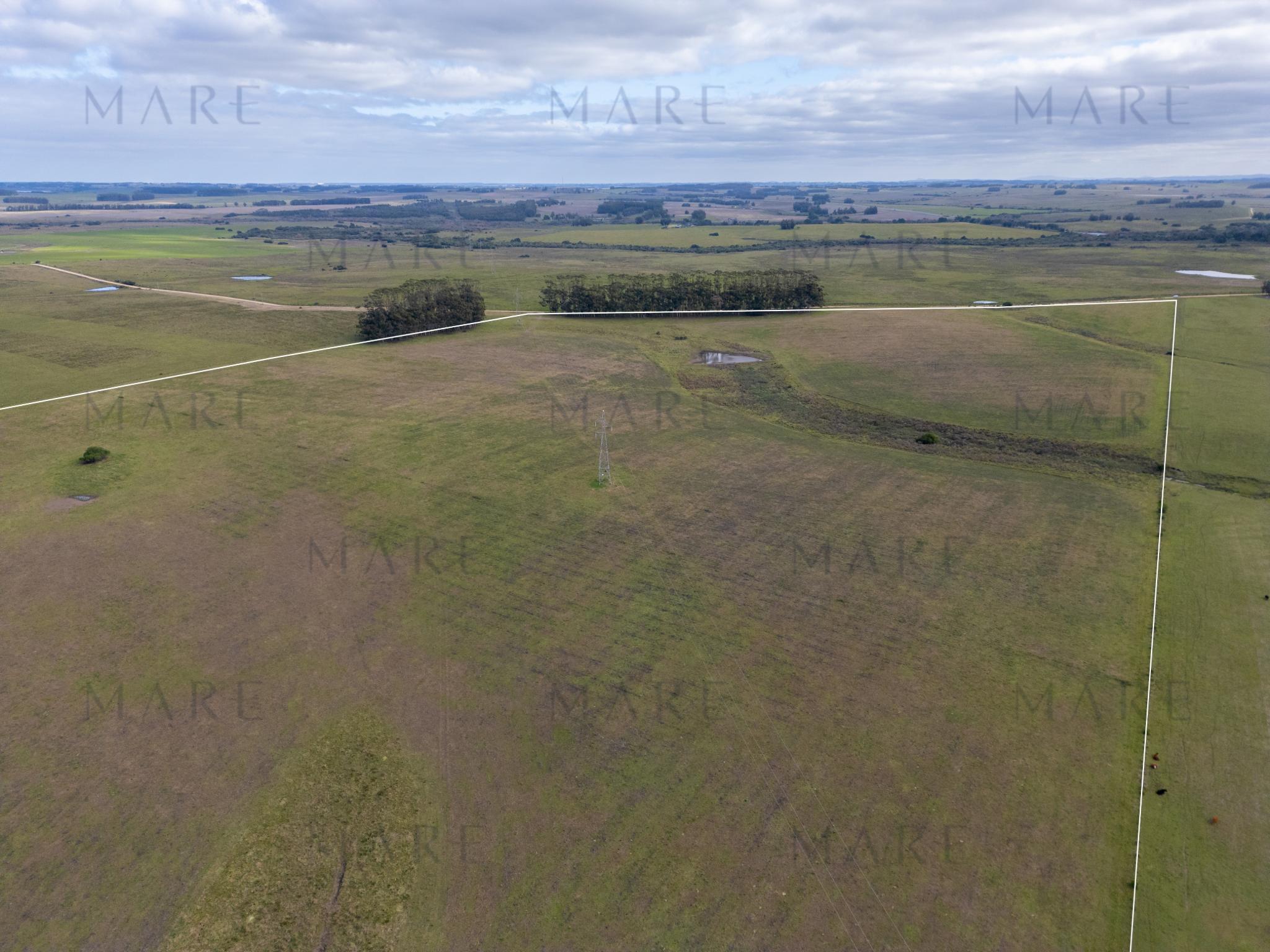 103 ha próximas a Laguna Garzón - Photo 3