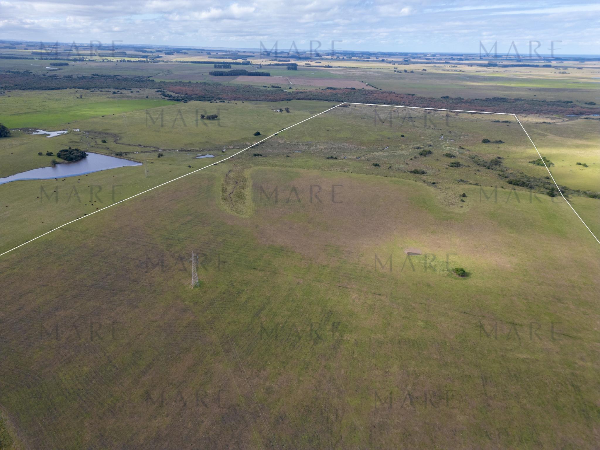 103 ha próximas a Laguna Garzón - Photo 5