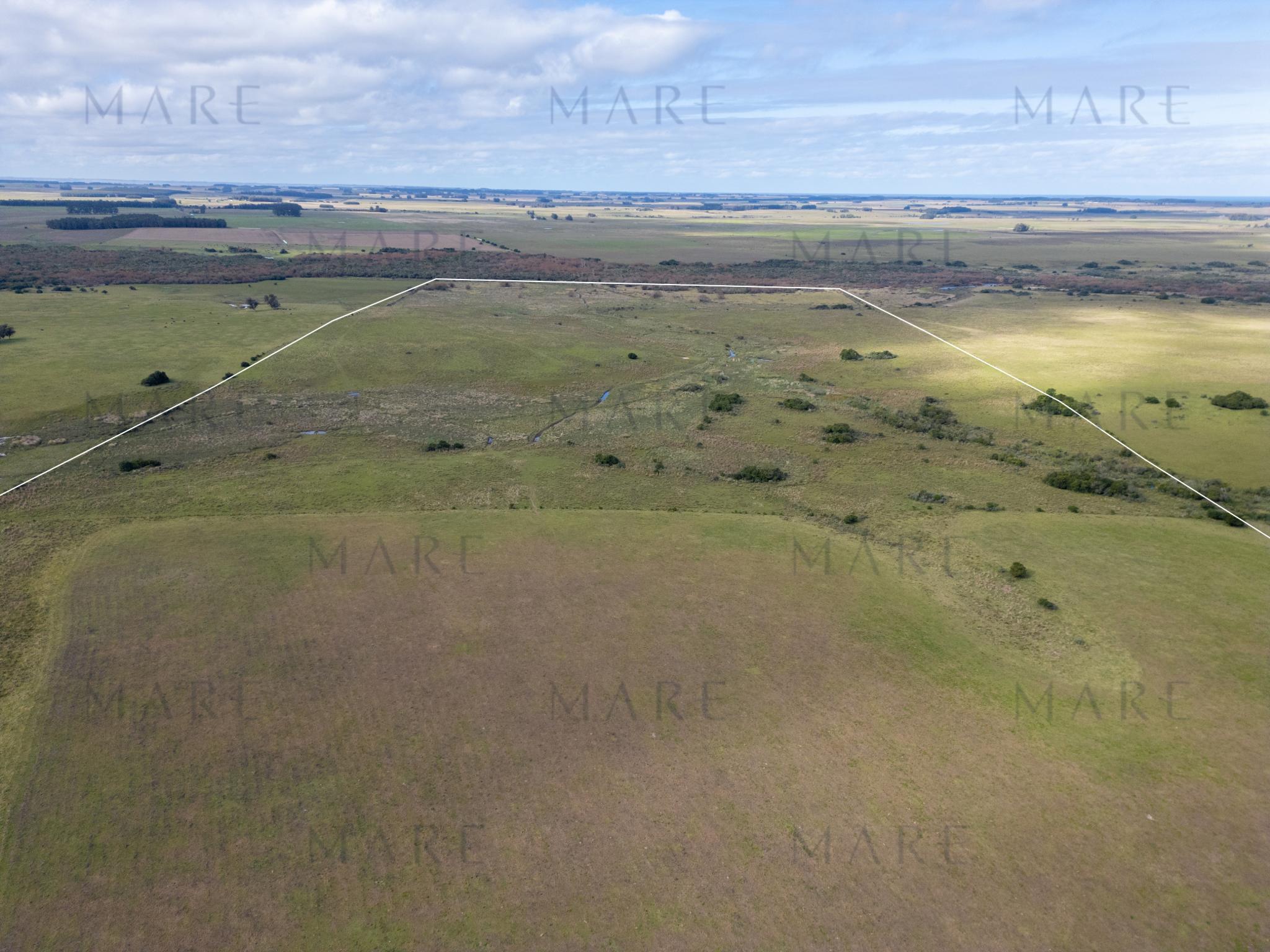 103 ha próximas a Laguna Garzón - Photo 12