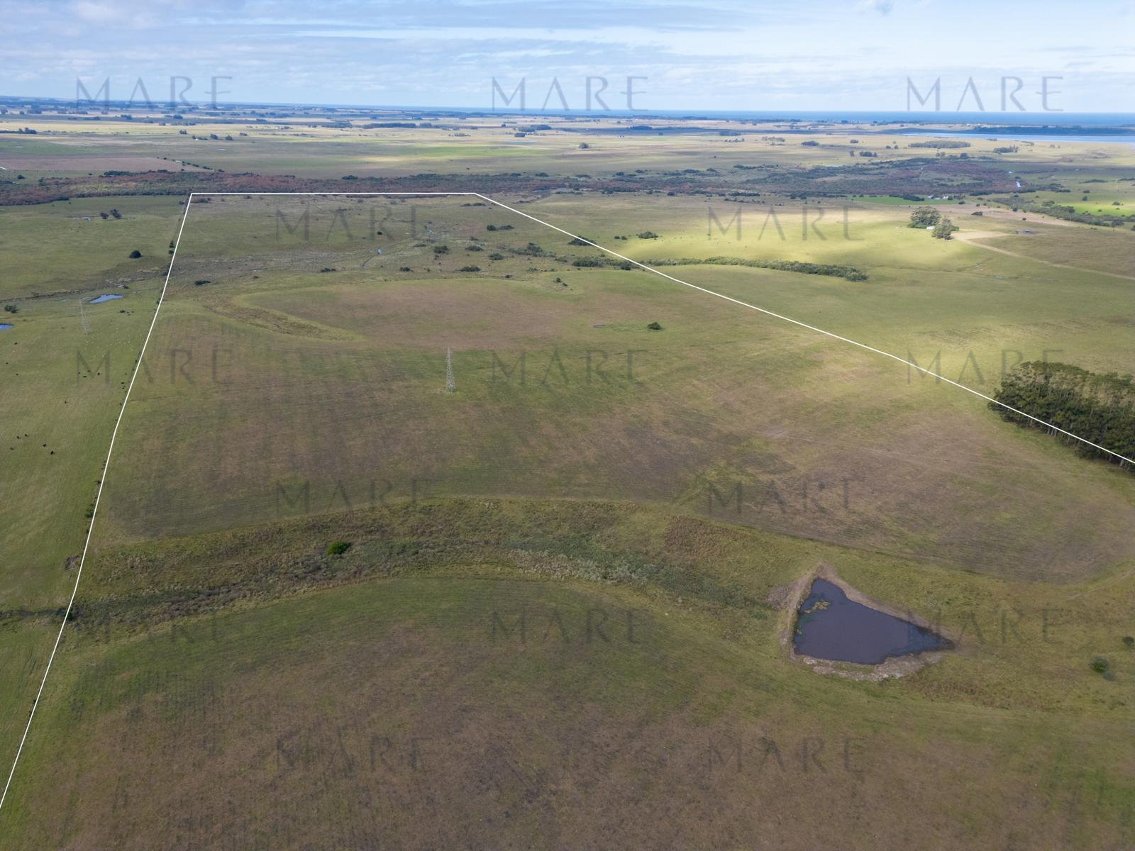 103 ha próximas a Laguna Garzón