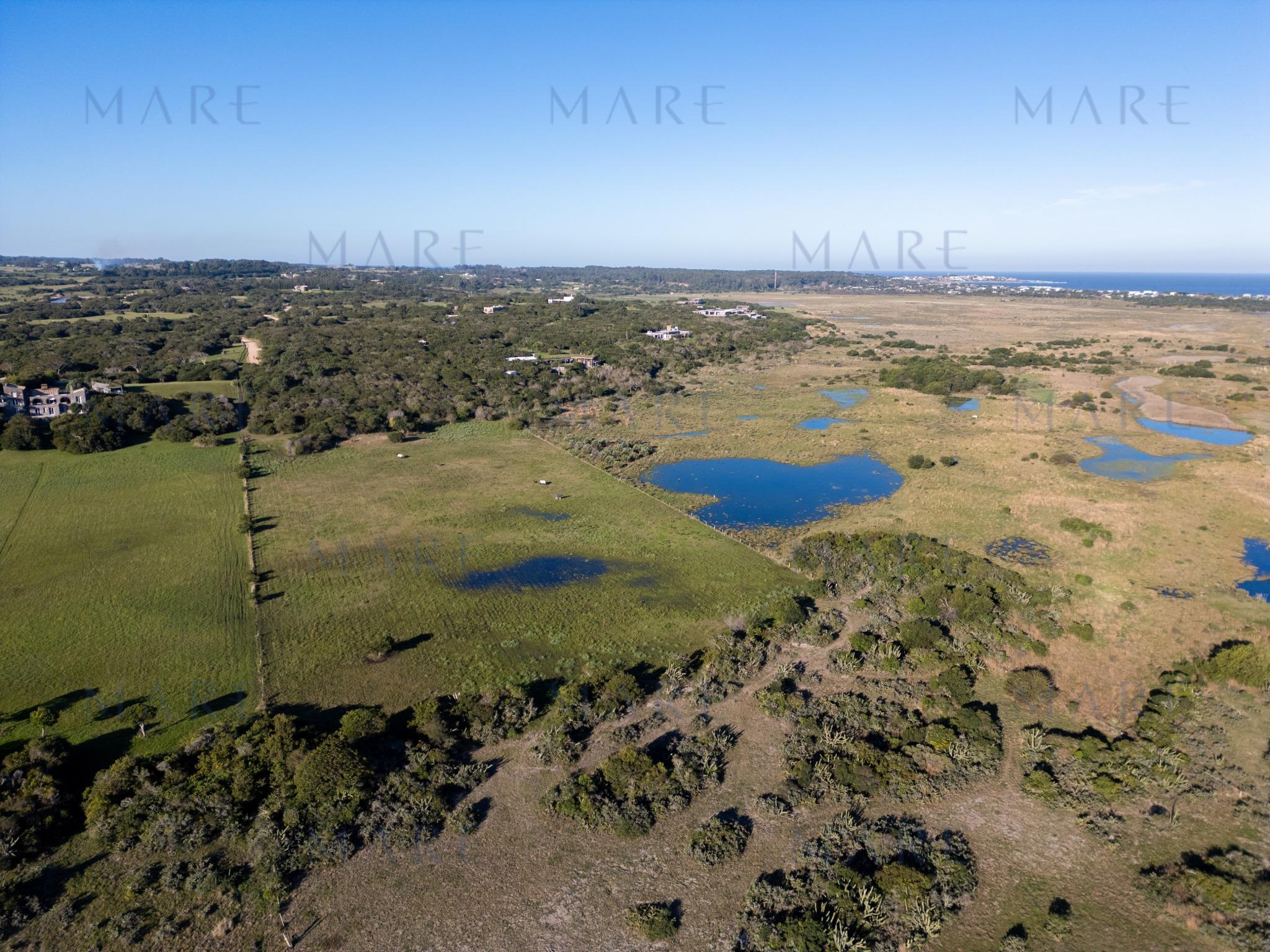 5 has. sobre Laguna José Ignacio - Photo 5