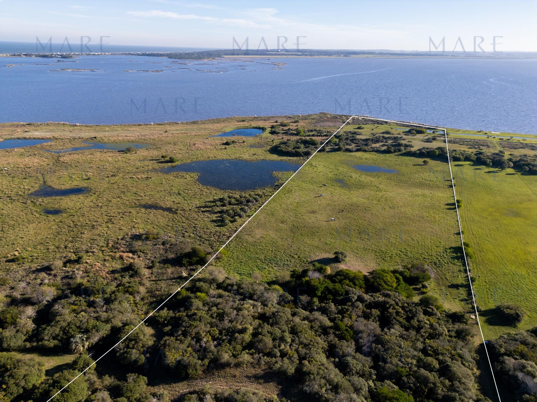 5 has. sobre Laguna José Ignacio - Photo 3
