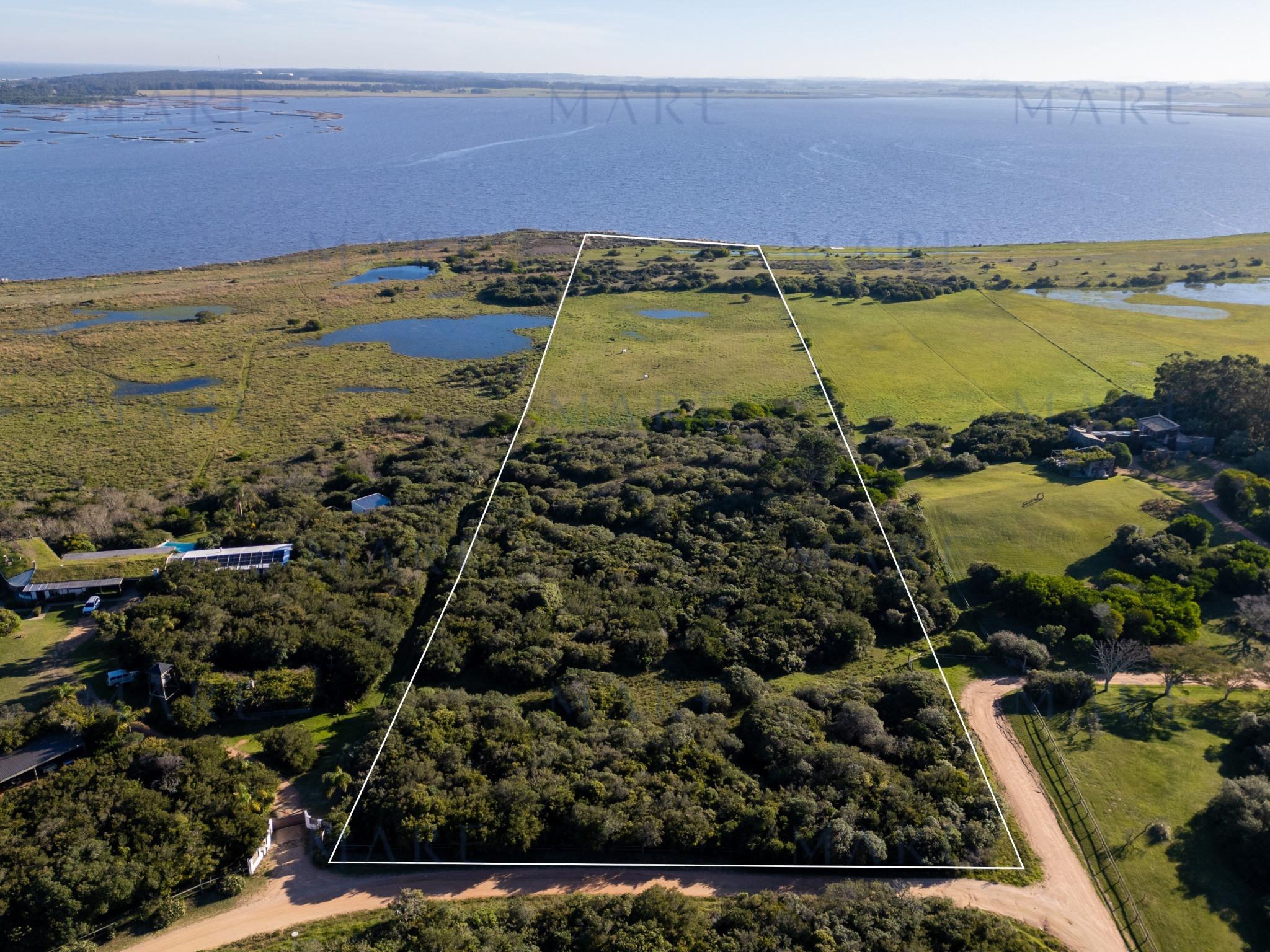5 has. sobre Laguna José Ignacio - Photo 6