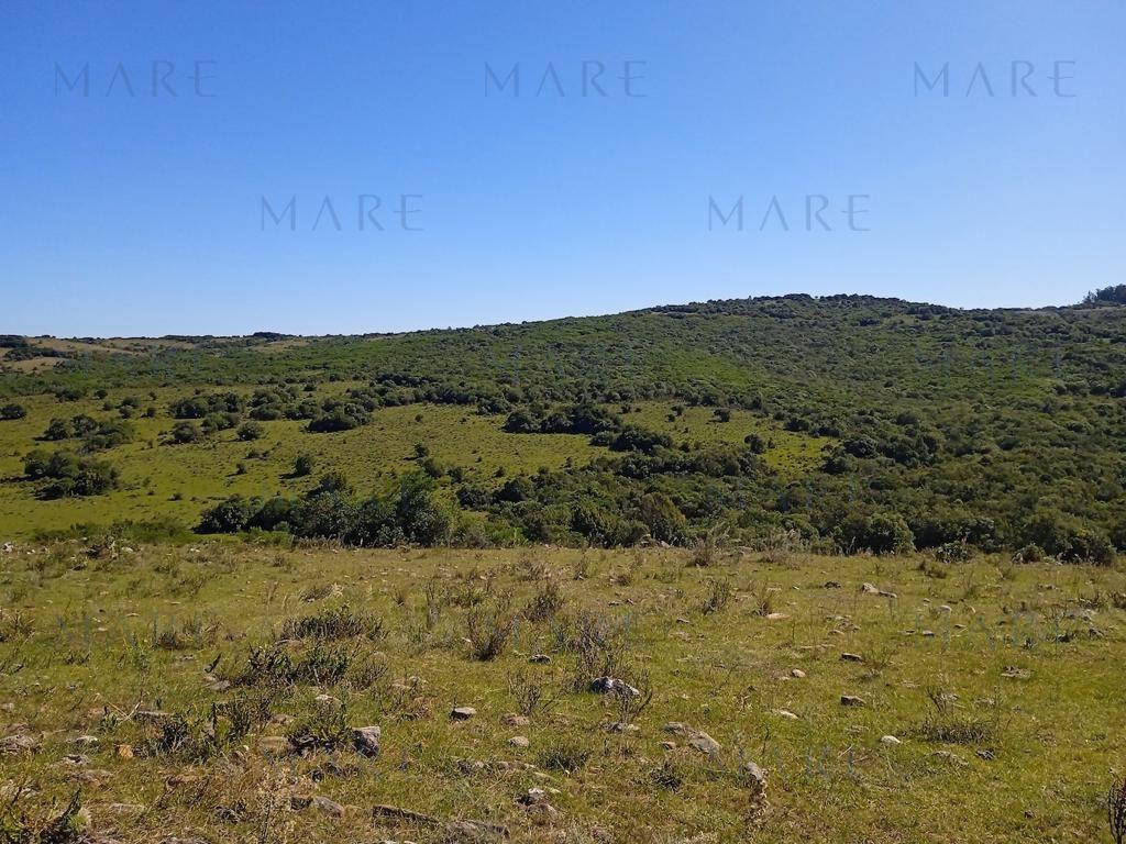 Campo en Otras - Foto 17
