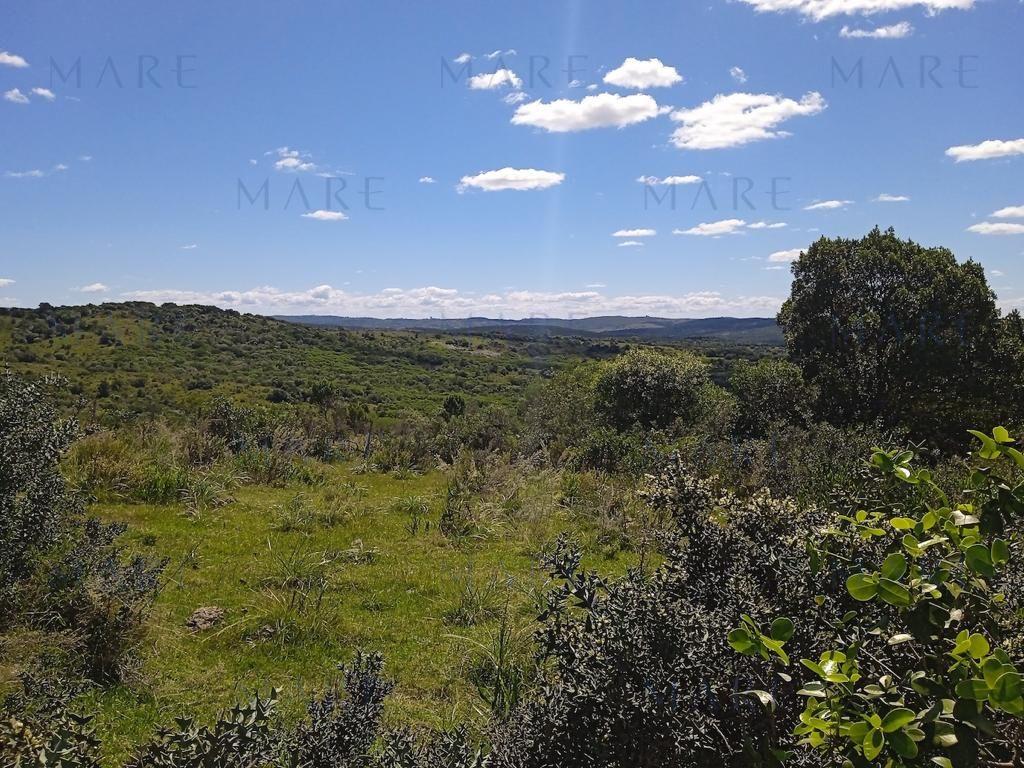 Campo en Otras - Foto 13