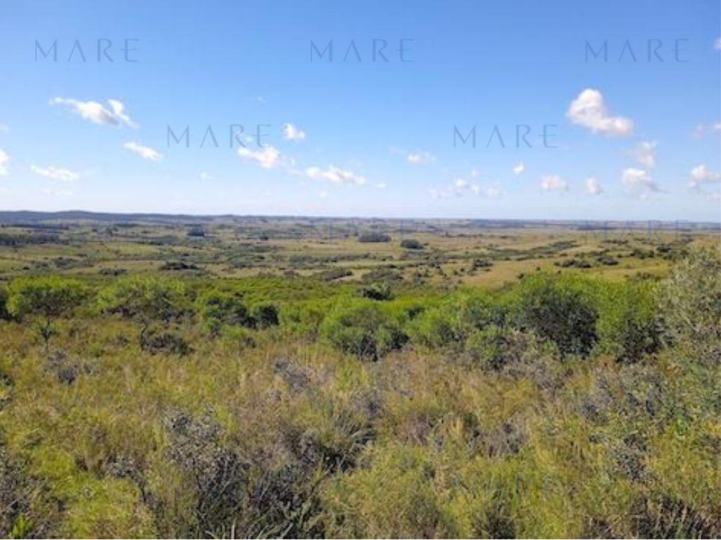 Campo en Otras - Foto 9