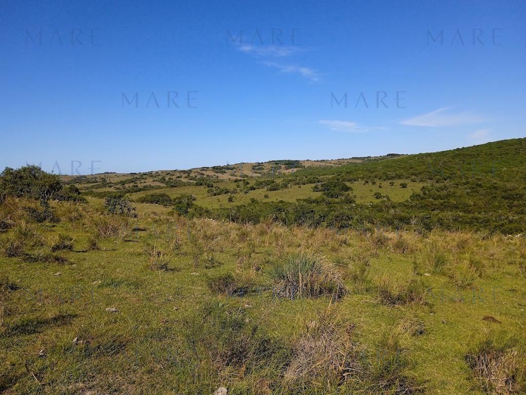 Campo en Otras - Foto 16