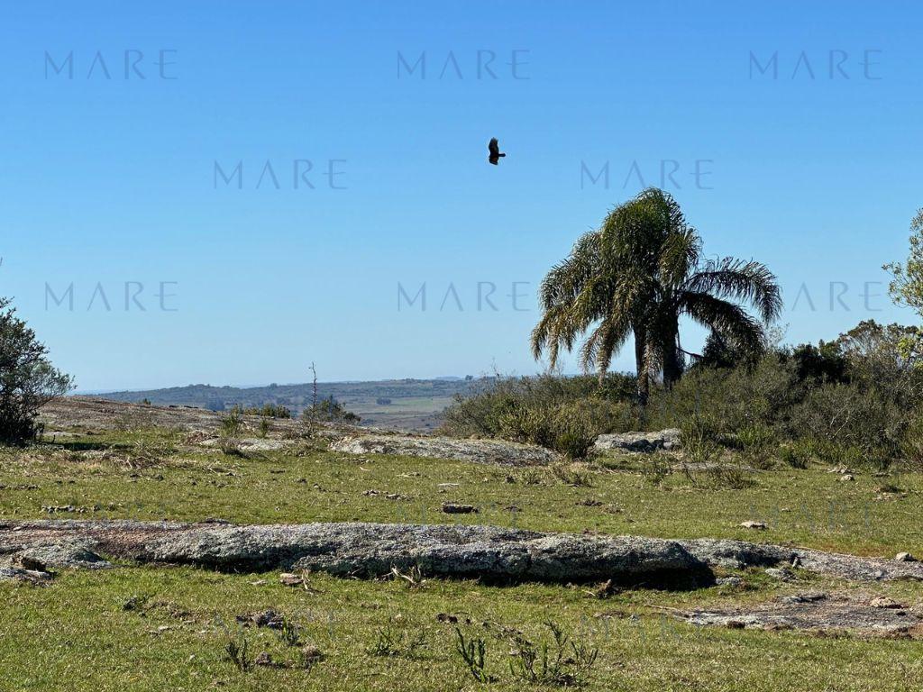 Campo en Otras - Foto 10