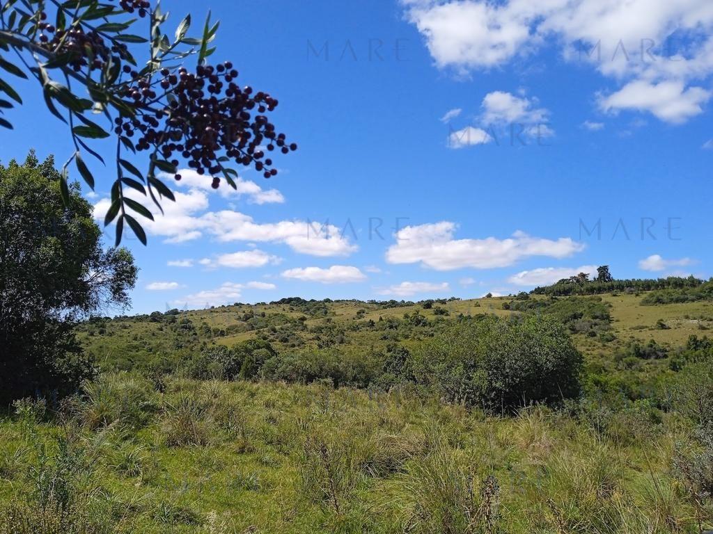 Campo en Otras - Foto 4