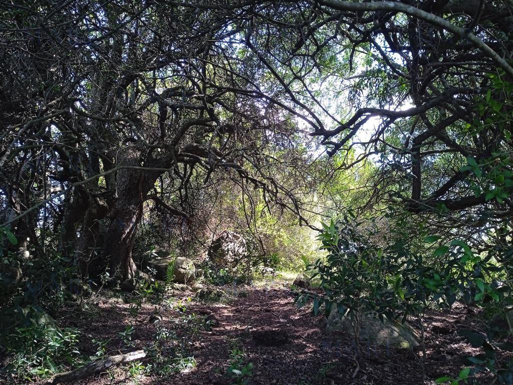 Campo en Otras - Foto 6